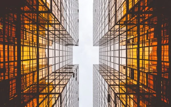 Bridging Operational Gaps in Micro-Enterprises with Enterprise Architecture Principles
